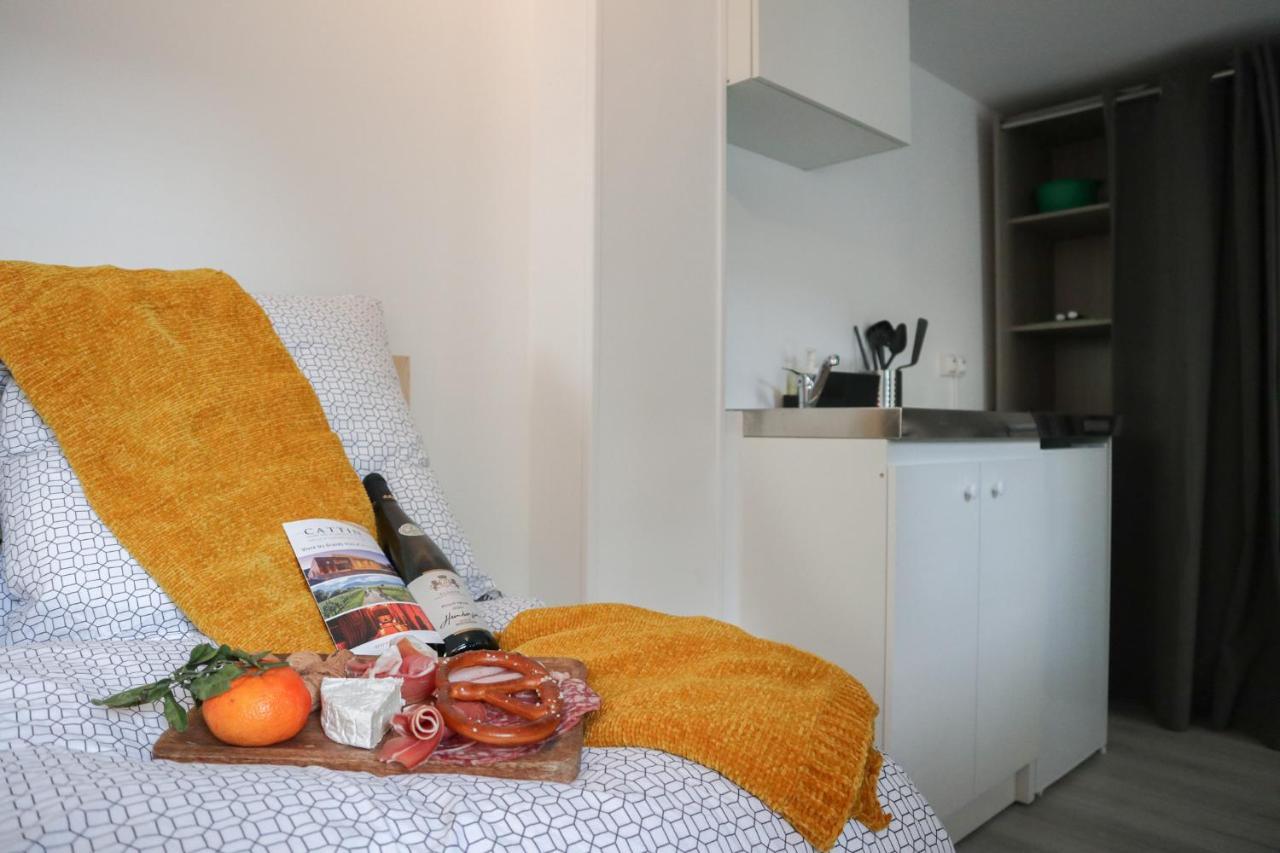 Le Domaine Mulhousien Lägenhet Mulhouse Exteriör bild